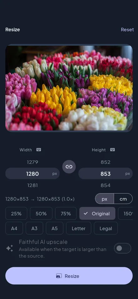 Wandl – resize with AI upscaling