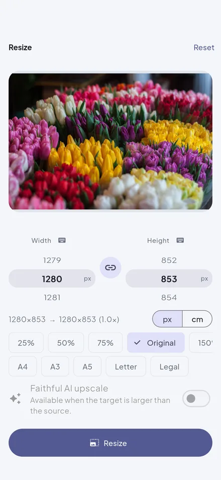 Wandl – resize with AI upscaling